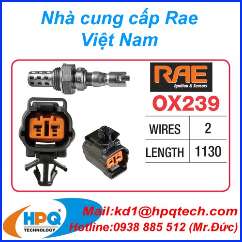 Máy dò khí RAE - Cảm biến RAE sensor - Đại lý RAE Sensor tại Việt Nam
